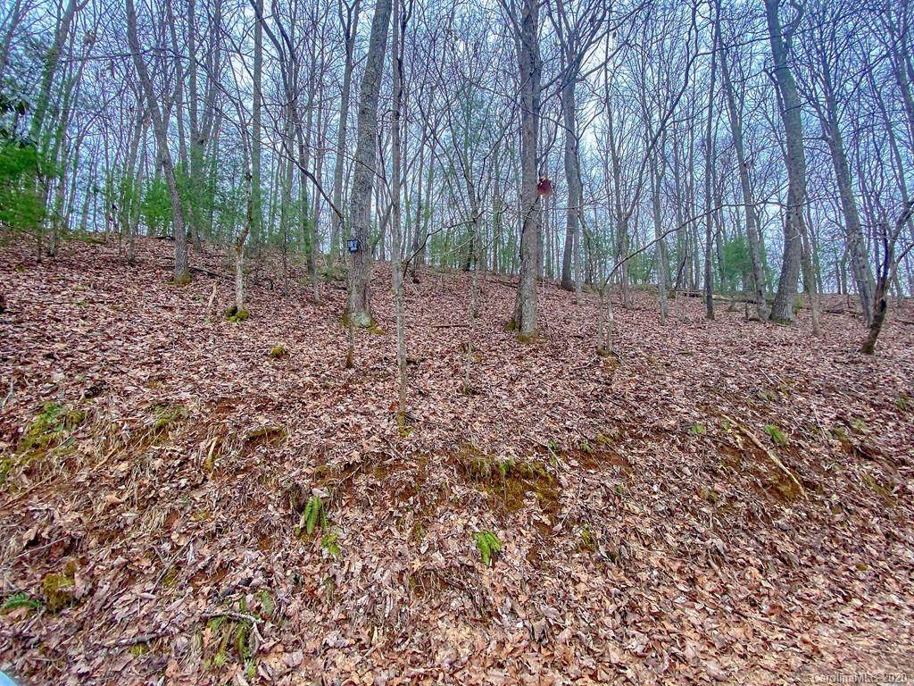 00 Indigo Lane - Photo 1