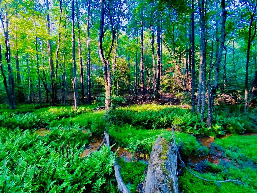 00 Dudley Shoals Road - Photo 1