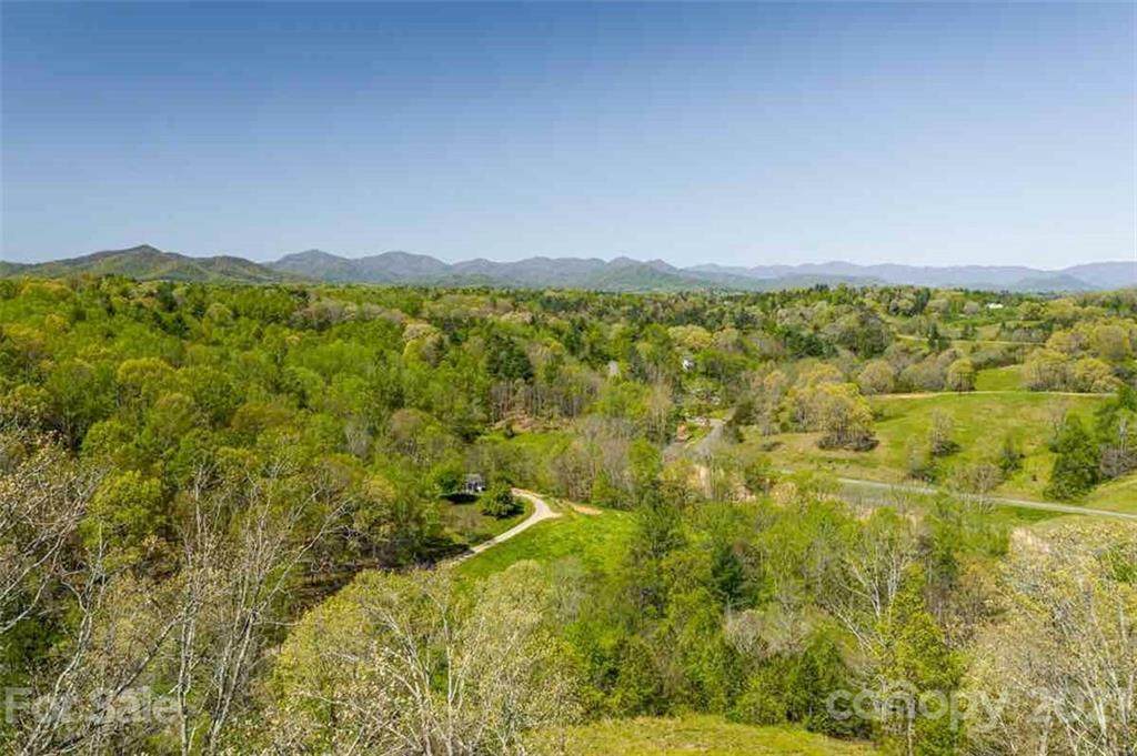 59 Sweet Fern Parkway - Photo 1