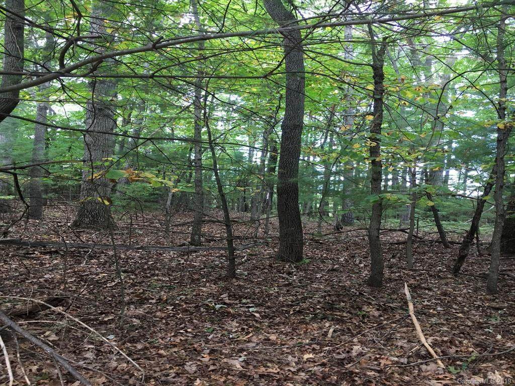 103 Little Cherokee Ridge - Photo 1