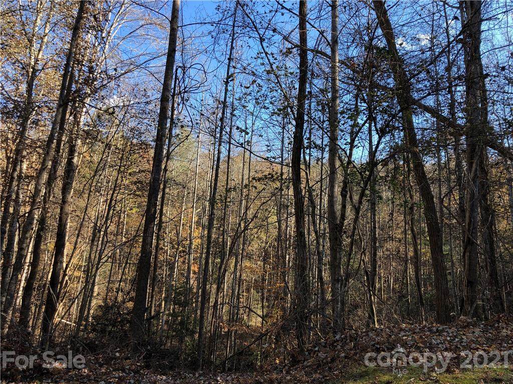 0000 High Rock Ridge - Photo 1