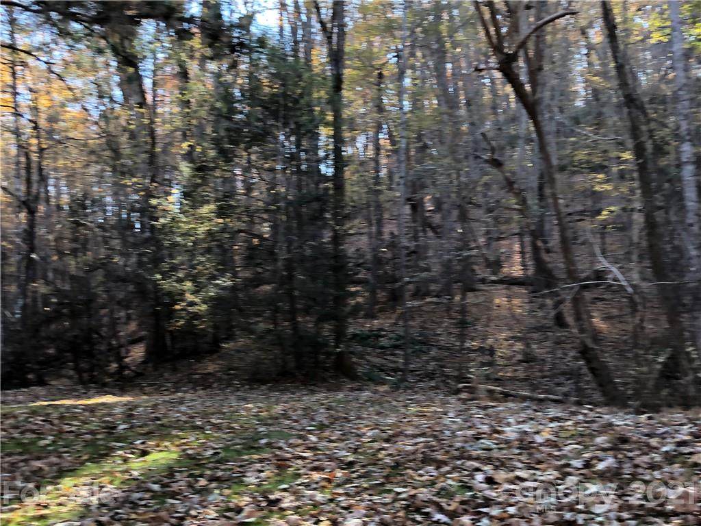 000 High Rock Ridge - Photo 1