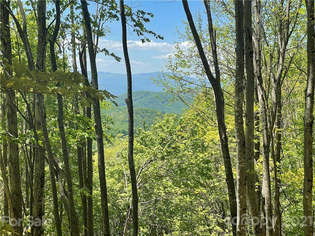 3326 Preserve Road - Photo 1