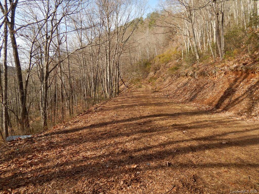 00 Horse Cove Road - Photo 1