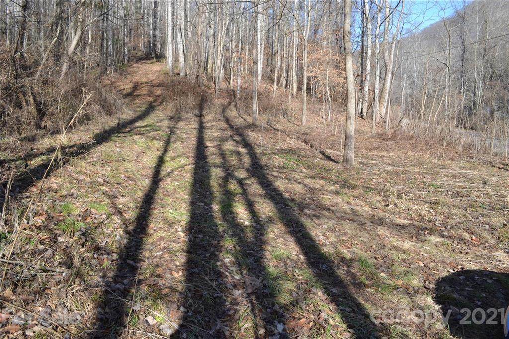 000 Martins Creek Road - Photo 1
