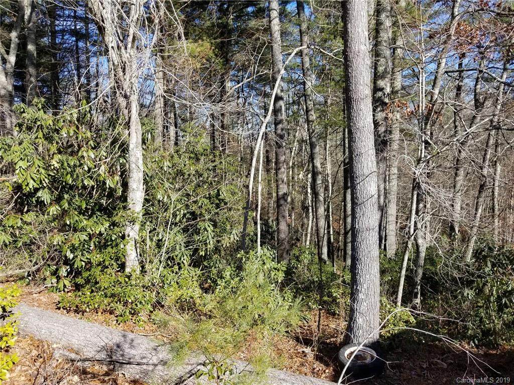 250 Presnell Hollow Road - Photo 1