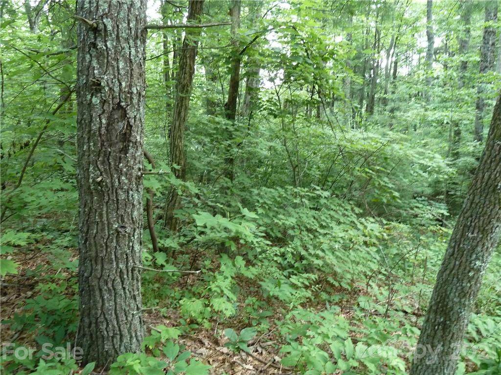3 Pointe Drive - Photo 1