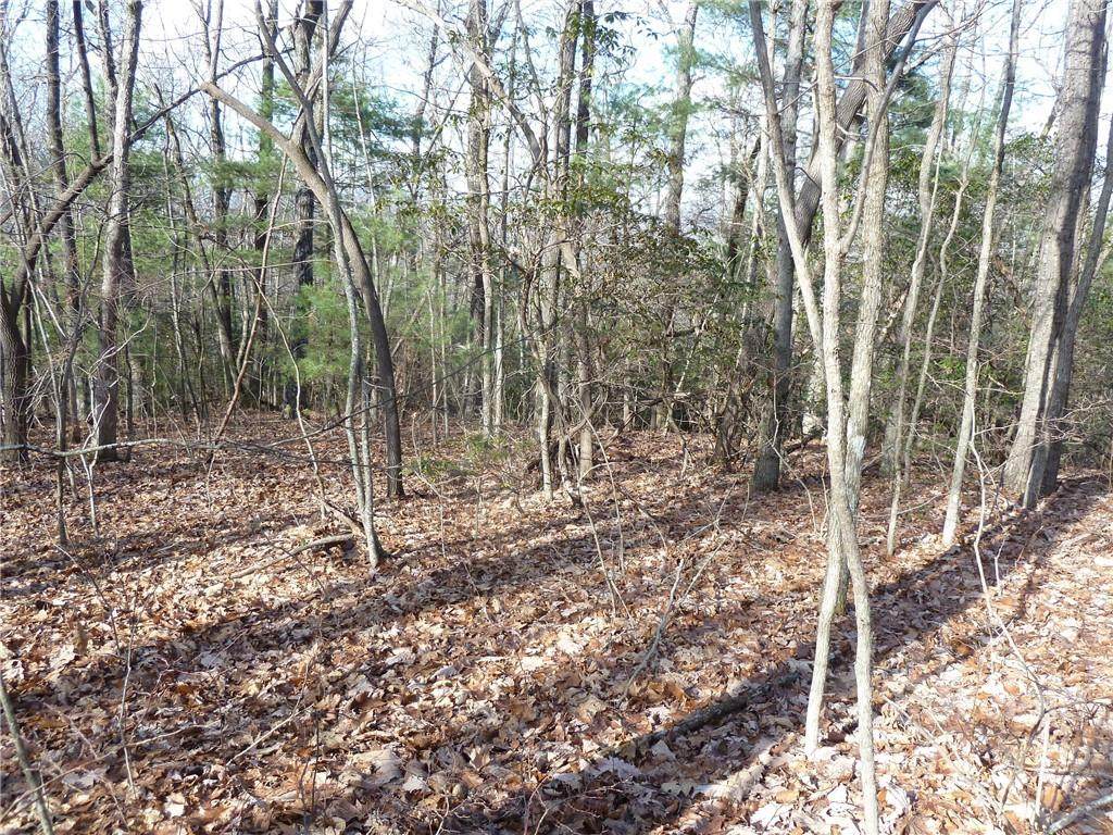 51 Pointe Drive - Photo 1