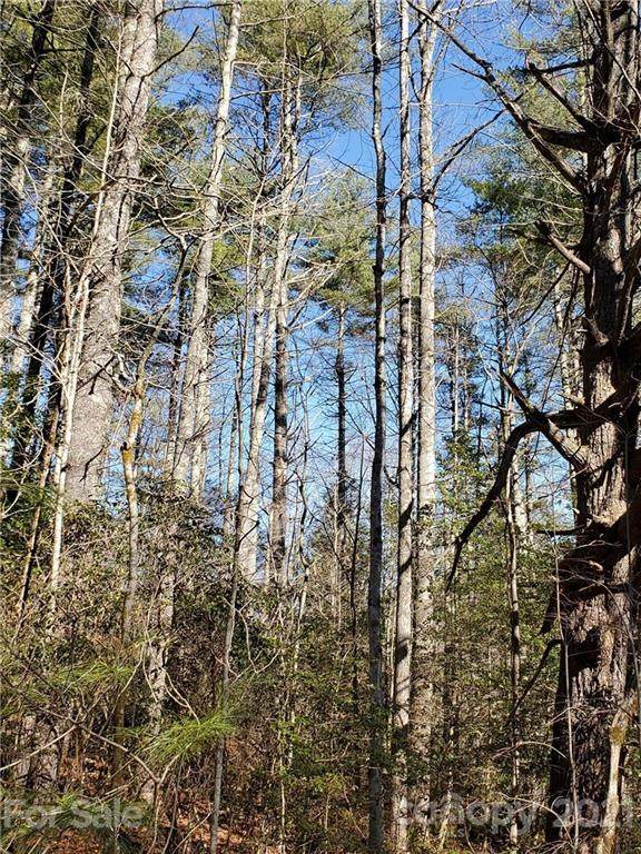 L302 Lynn Crest Drive - Photo 1