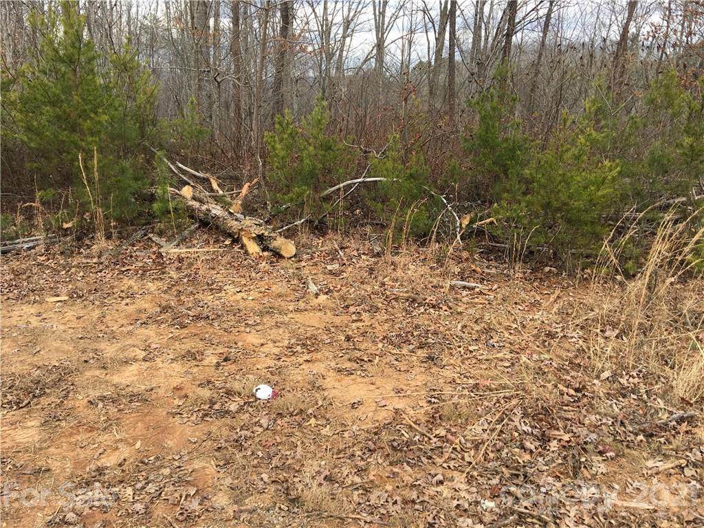 4.35 acres Donovan Drive - Photo 1