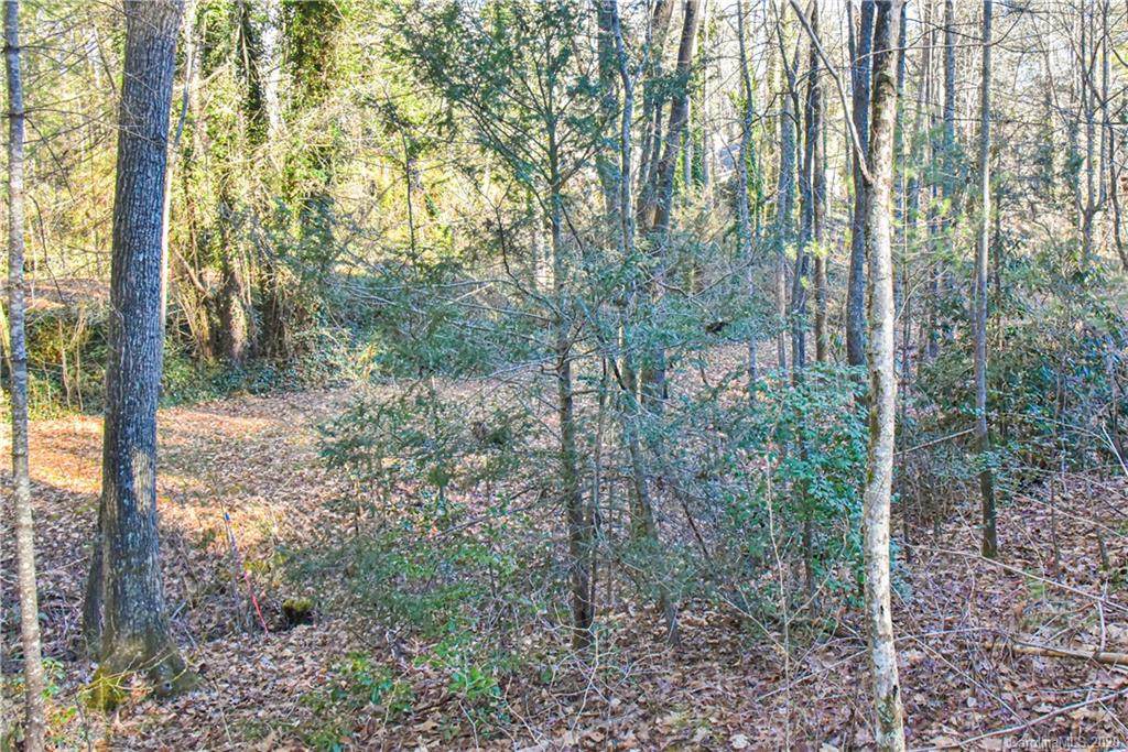 29 Buffalo Creek Drive - Photo 1