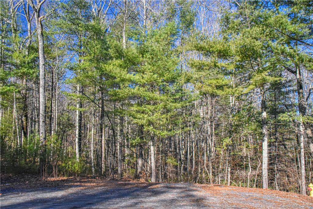 36 Buffalo Creek Drive - Photo 1