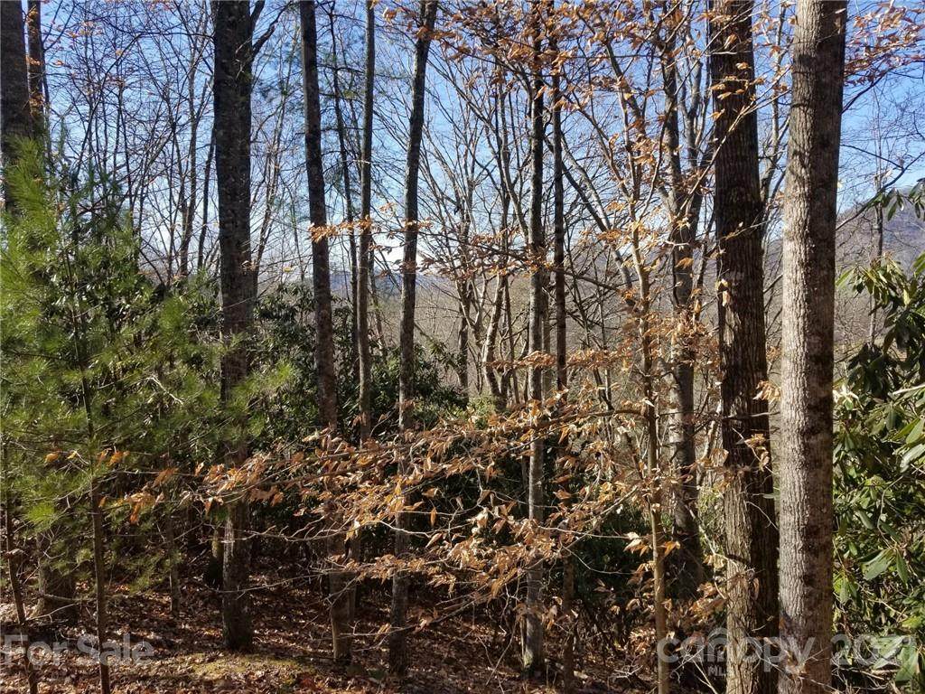 000 Hamlet Drive - Photo 1