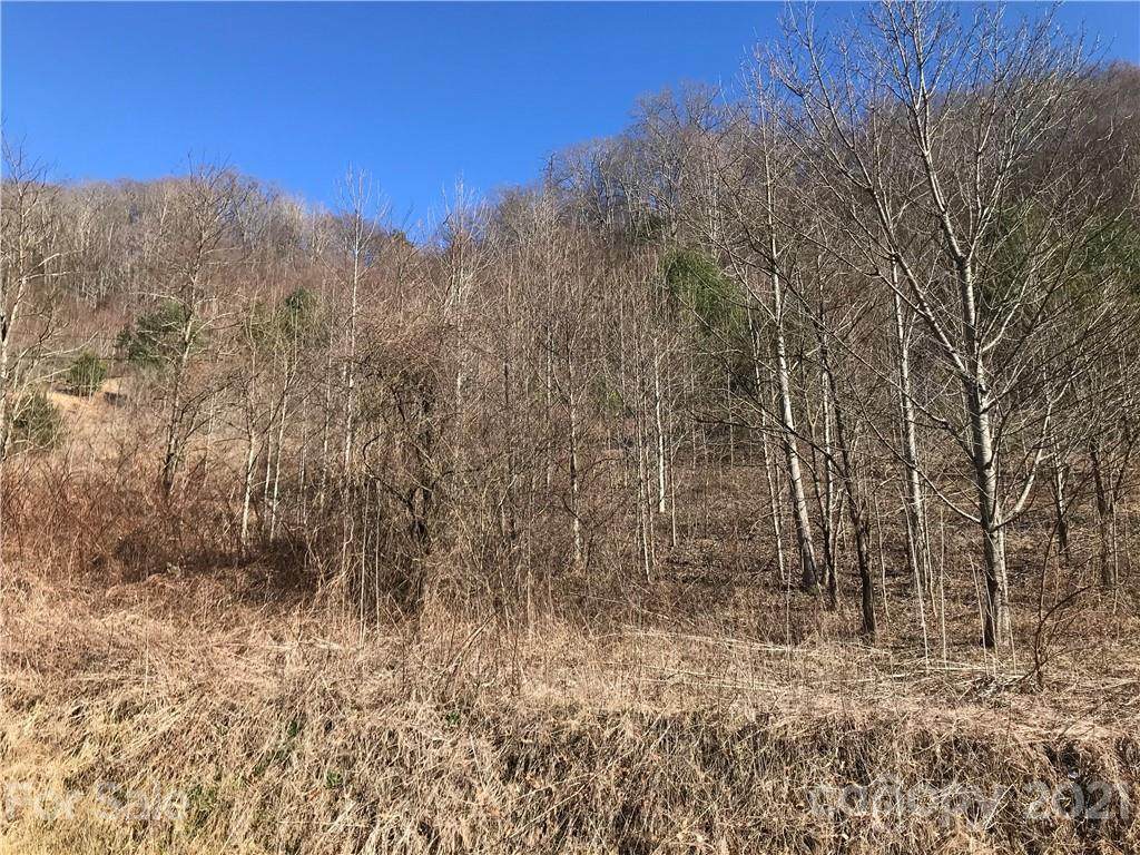 5110 Liner Creek Road - Photo 1