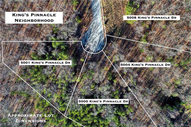 5001 Kings Pinnacle Drive - Photo 1