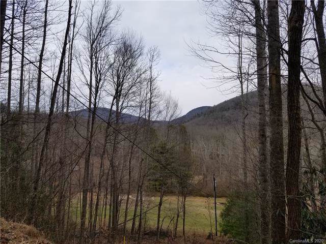 1.86 Acres OFF Fair Hollow Lane - Photo 1