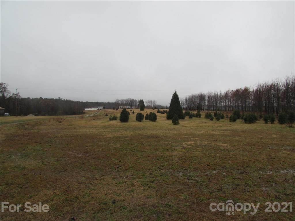Lot 1 White Store Pageland Road - Photo 1
