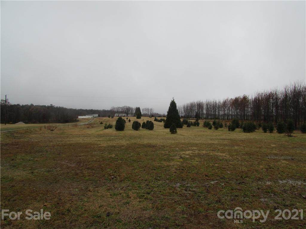 Lot2 White Store Pageland Road - Photo 1