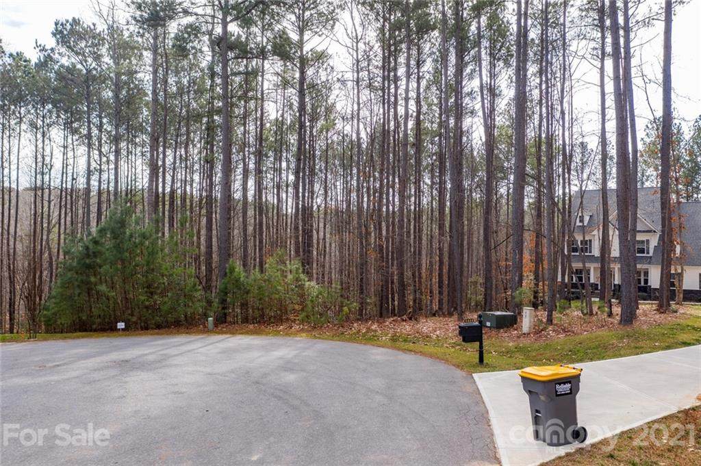 Lot 9 Kingfisher Court - Photo 1
