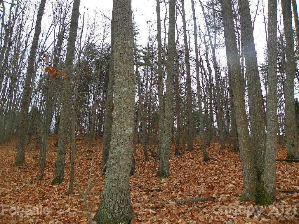 00 Sequoia Drive - Photo 1
