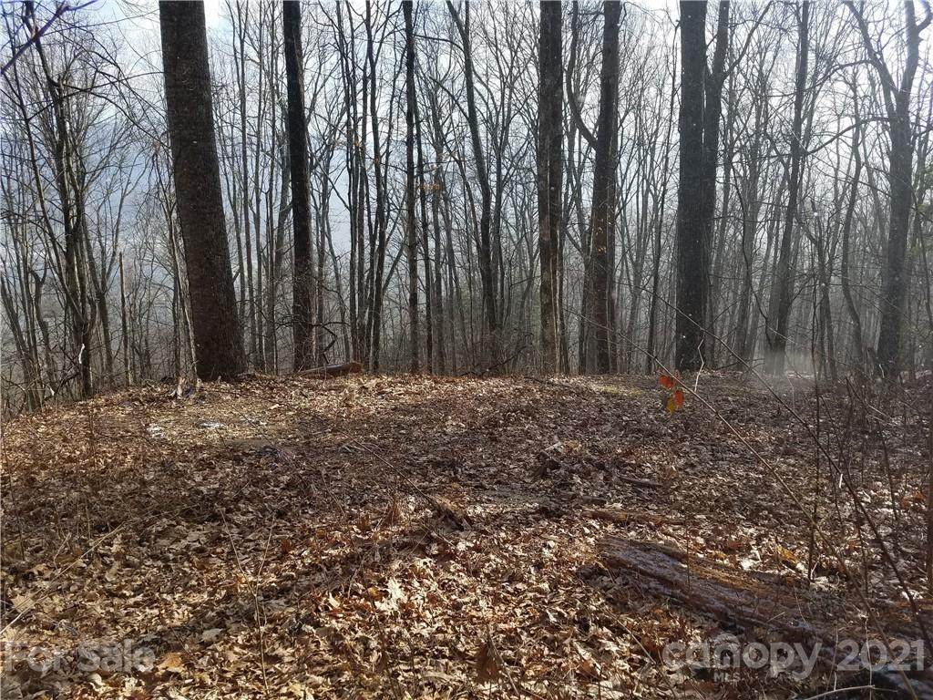 811 Dogwood Trail - Photo 1