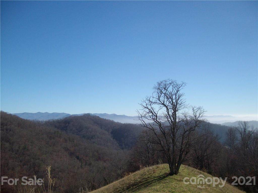 00 Flynn Branch Road - Photo 1