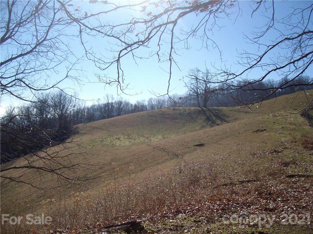 00 Flynn Branch Road - Photo 1