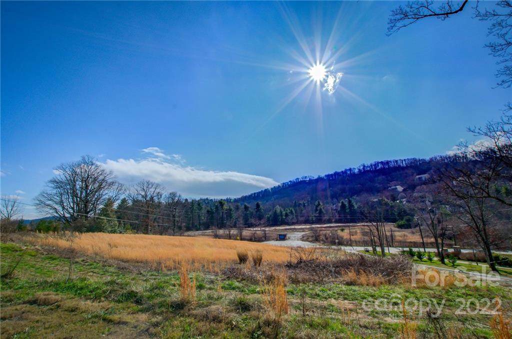 238A Mills Gap Road - Photo 1
