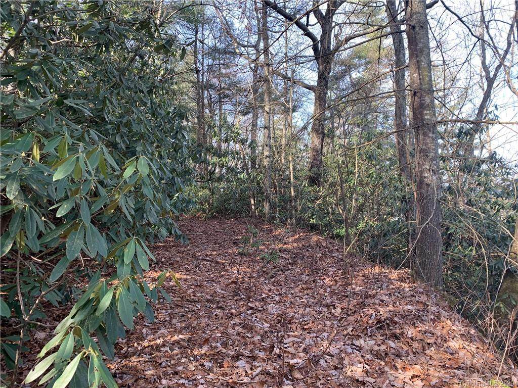 999 Howard Gap Road - Photo 1