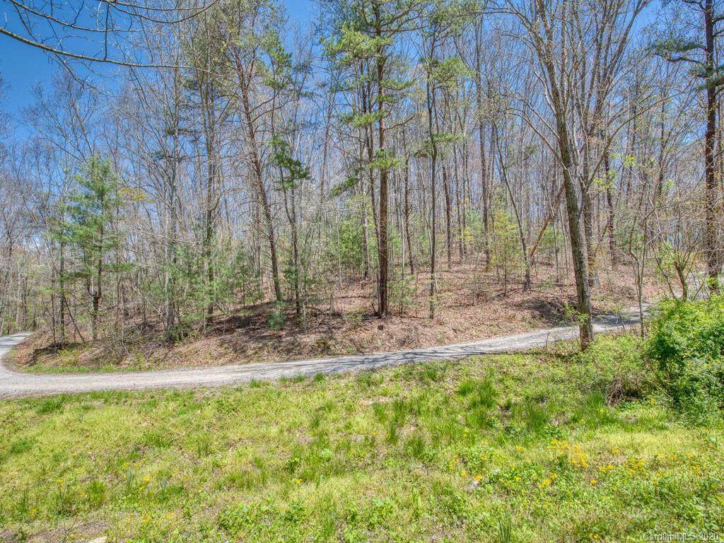 Lot #1 Mary Ruth Way - Photo 1