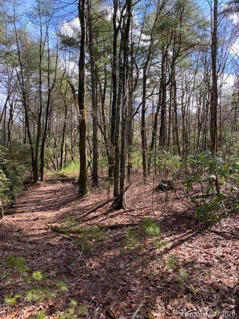 Lot 163A Eagle Lake Drive - Photo 1 Lot 163A Eagle Lake Drive - Photo 1