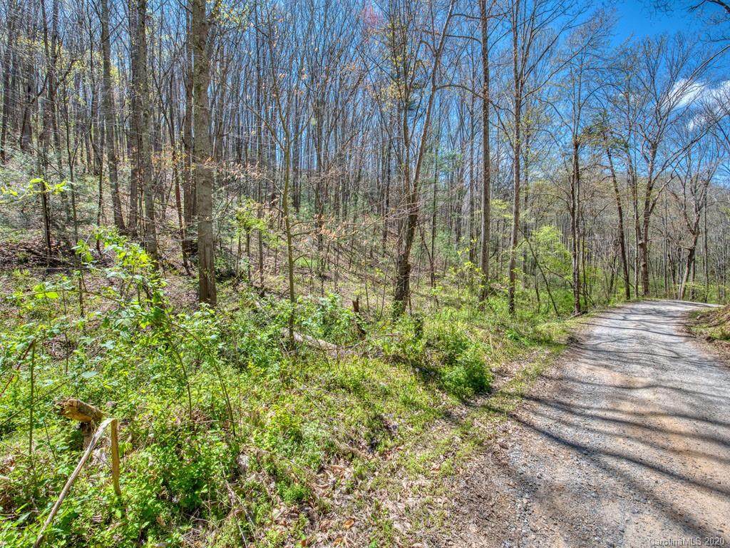 Lot #3 Mary Ruth Way - Photo 1