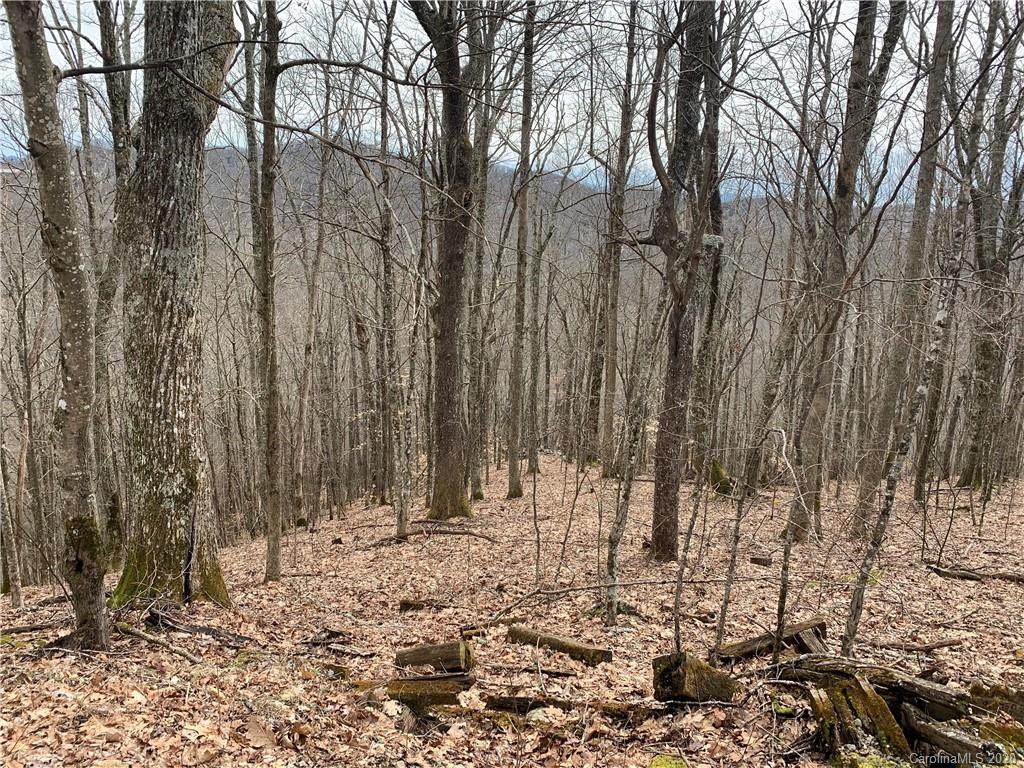 235 Hanging Rock Road - Photo 1