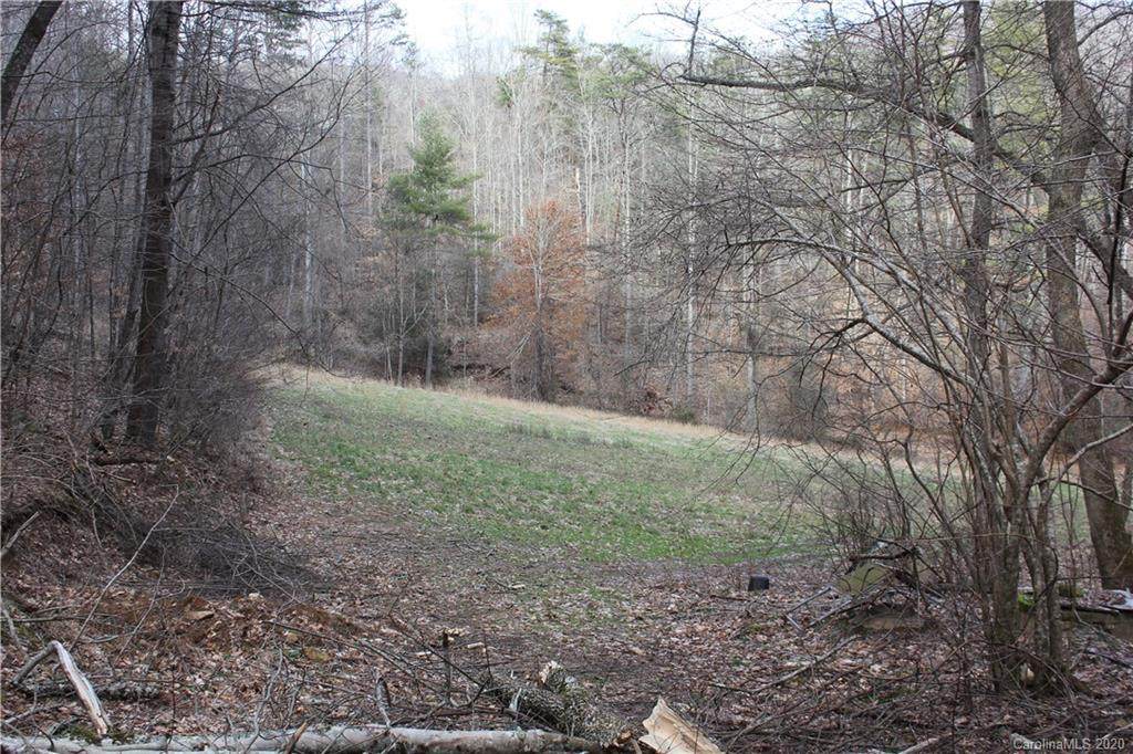 1147 Bee Tree Road - Photo 1