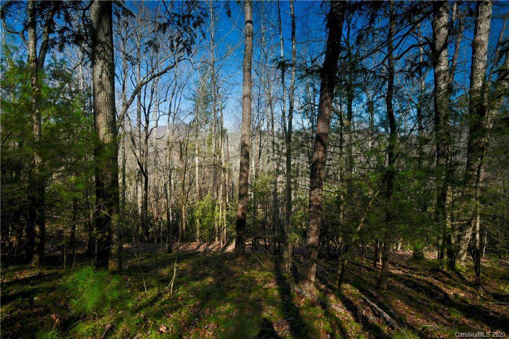 11 Bear Flower Trail - Photo 1