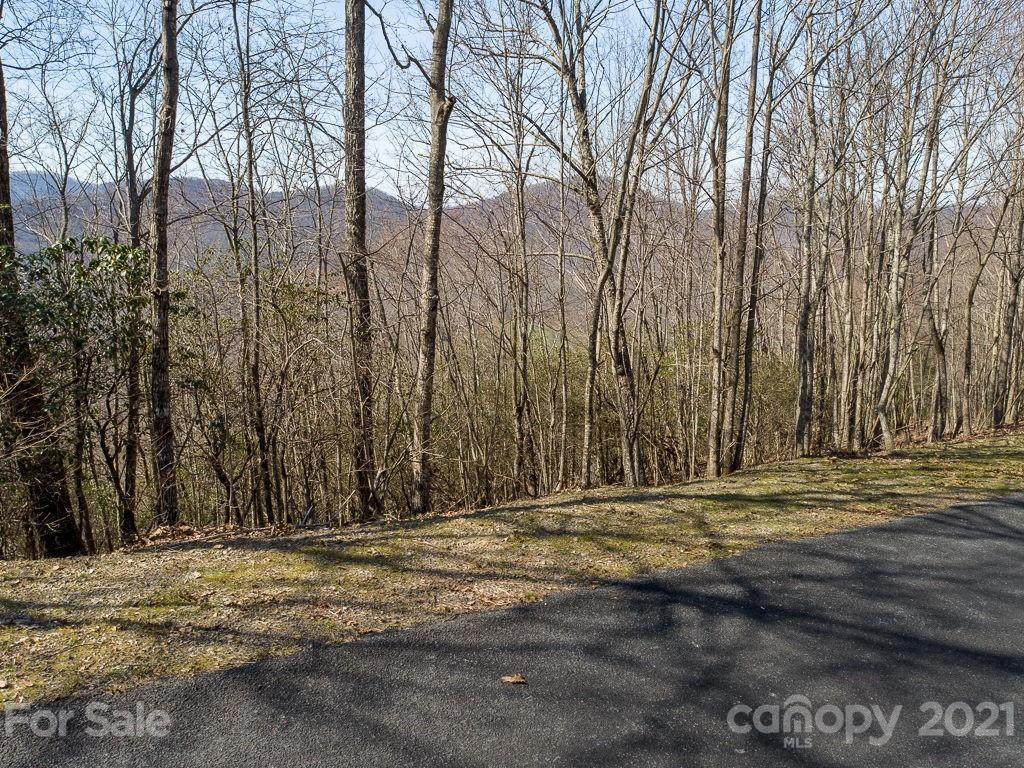 663 Blue Mist Way - Photo 1