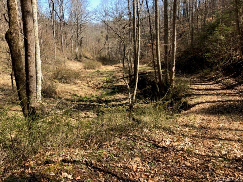 0 Whitson Branch Road - Photo 1