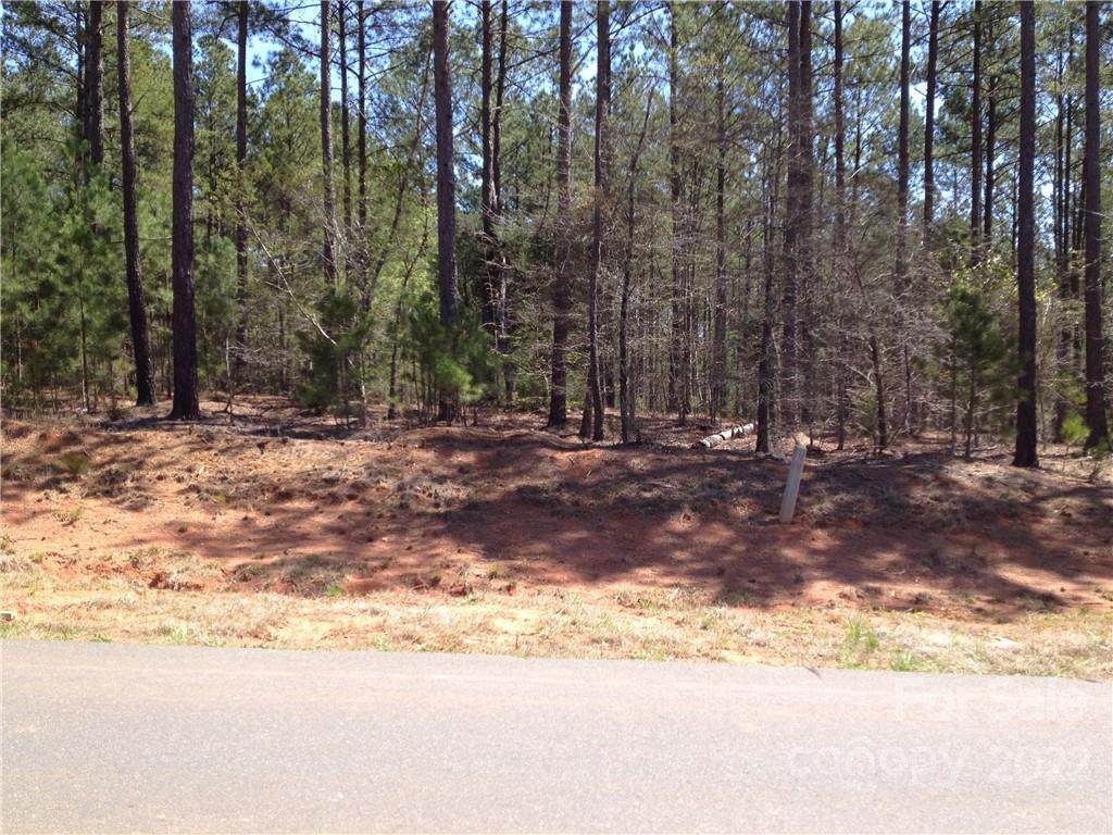 4113 Persimmon Road - Photo 1