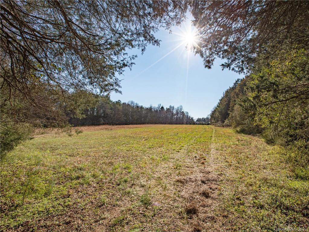 64.68 AC Mcconnells Highway - Photo 1