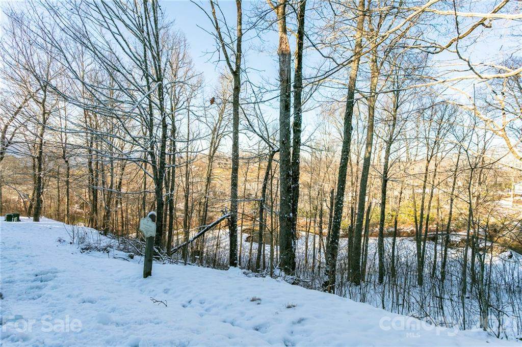 Lot 79 Ball Camp Road - Photo 1