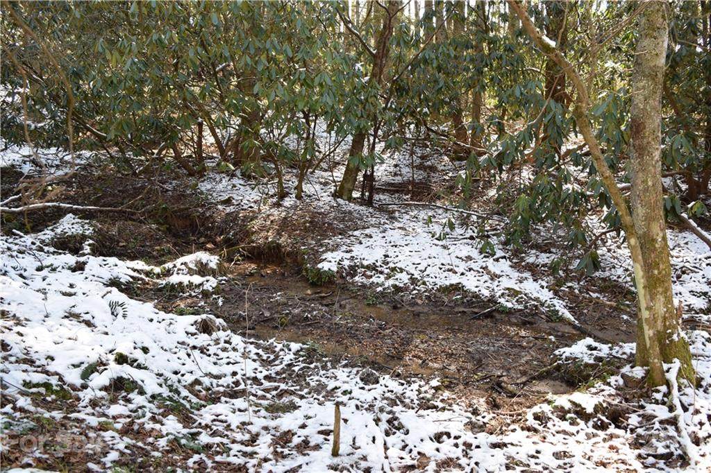 000 Carters Ridge Road - Photo 1