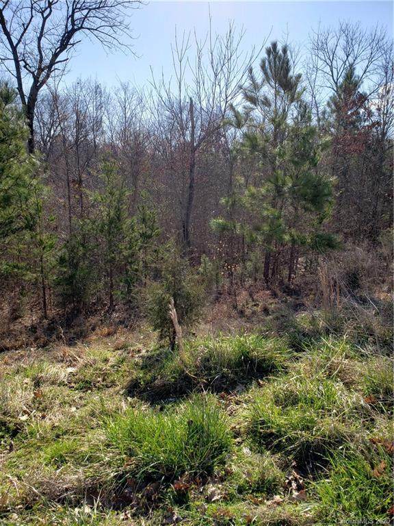 451 Swift Creek Cove - Photo 1