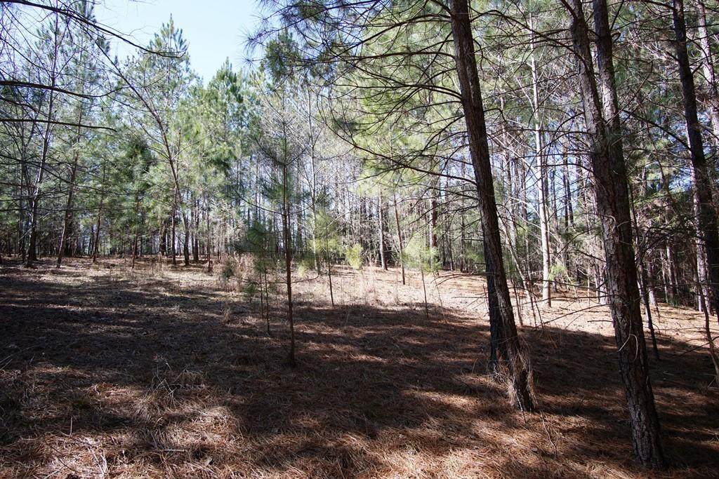 Lot 167 Greens Road - Photo 1