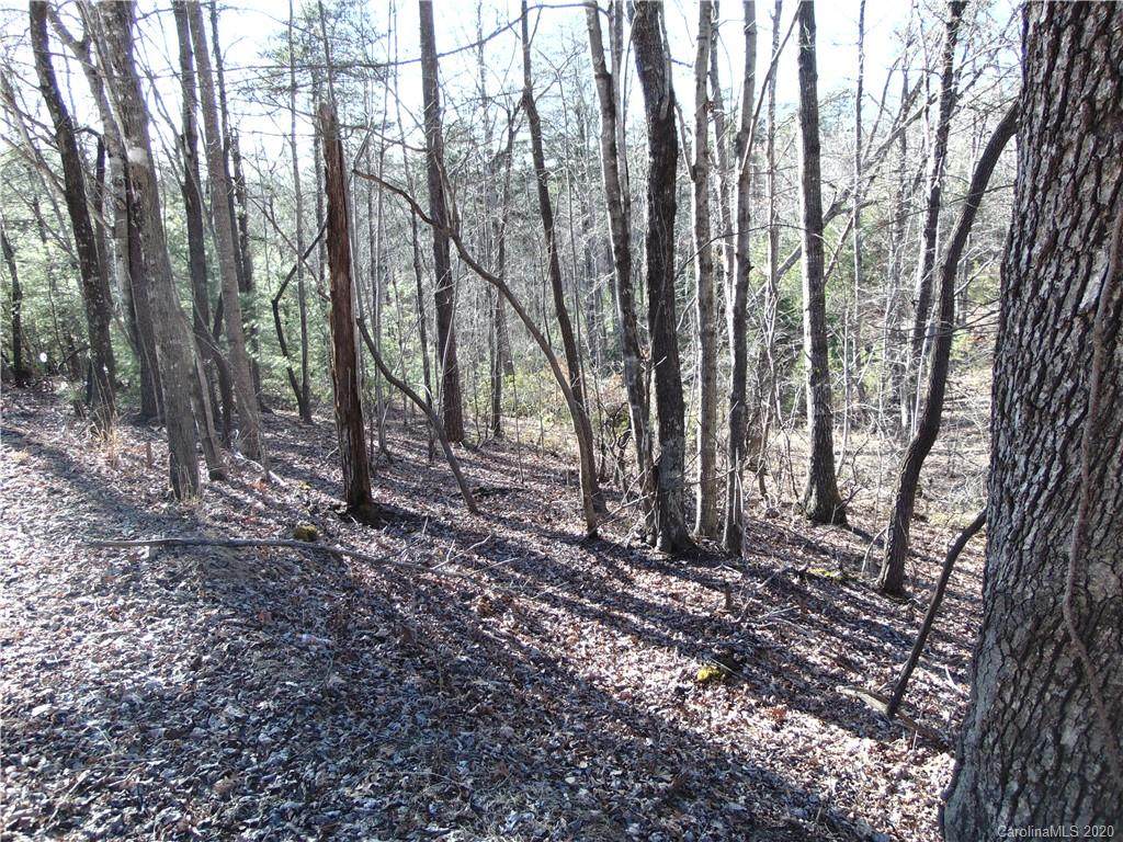 46 Piney Gate Road - Photo 1