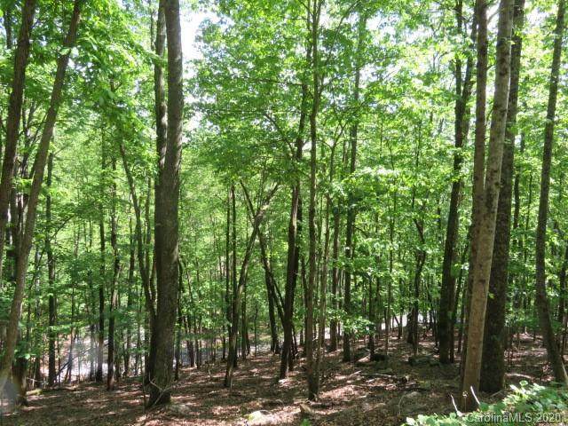 TBD Sugar Maple Drive - Photo 1