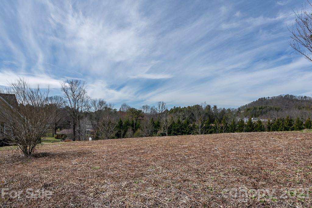 38 Red Laurel Court - Photo 1