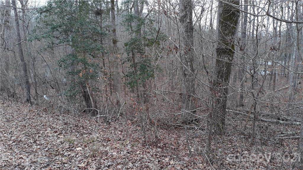 00 Pine Lake Drive - Photo 1