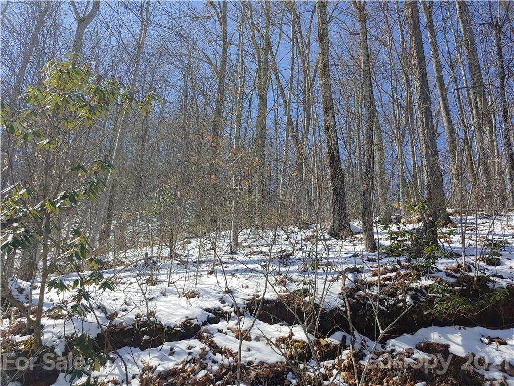 Lot L Hoot Owl Bill Road - Photo 1