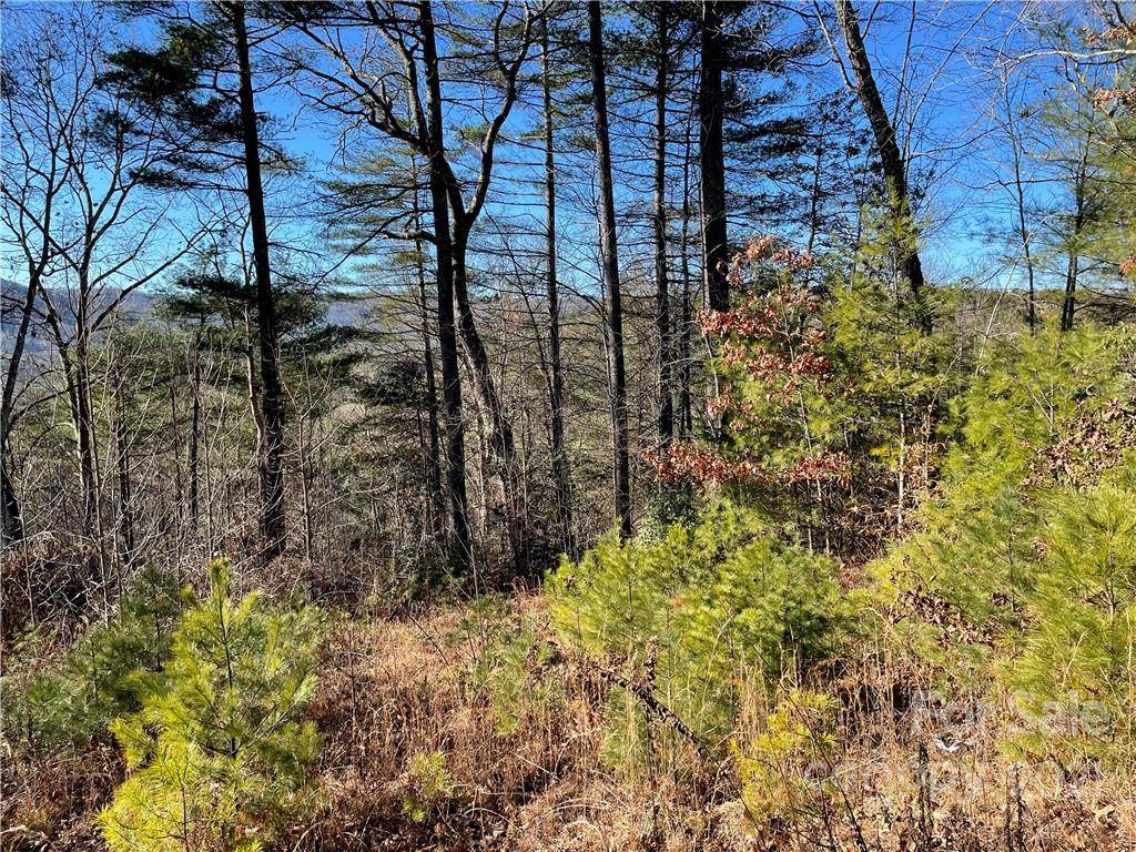 00 Spring Meadows Lane - Photo 1