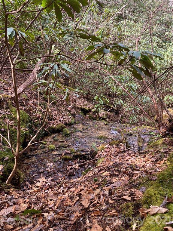 9 Laurel Knob Road - Photo 1